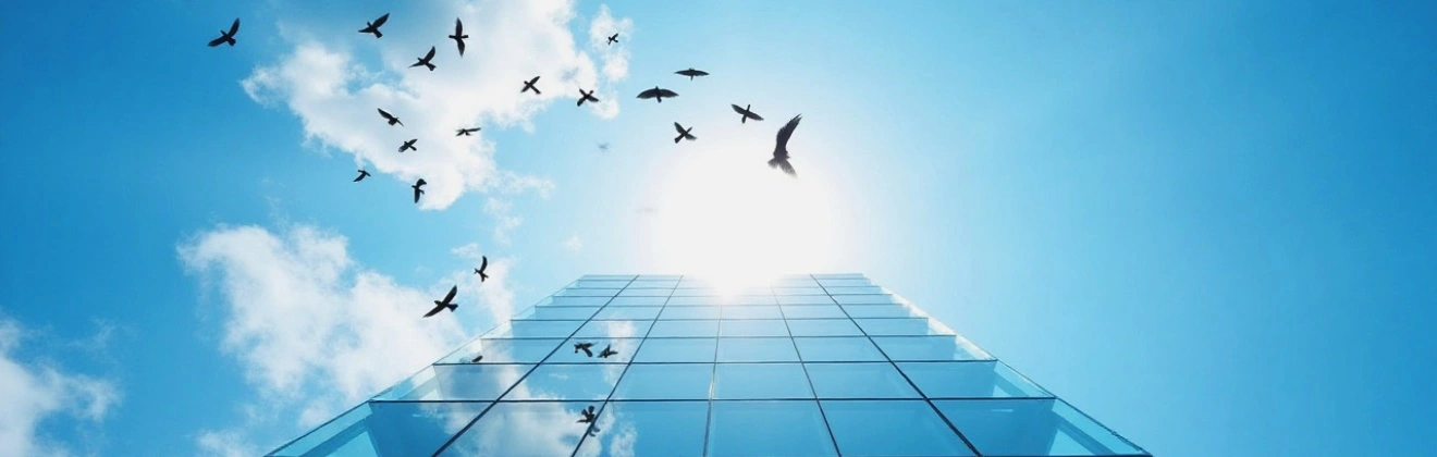 Bird Safe Dotted_1320x420